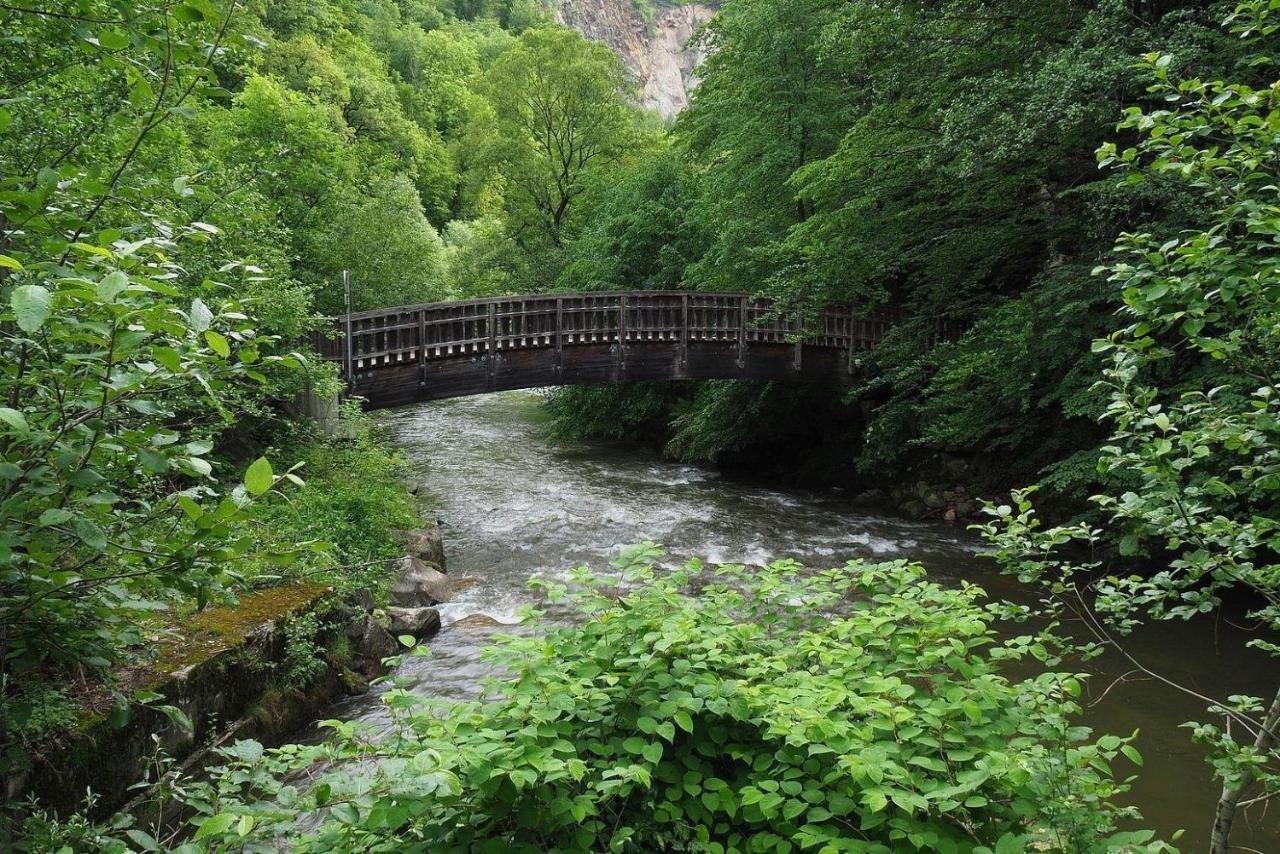 Biohof Laibacher Stubenberg Exterior photo